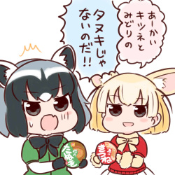アライグマ＆フェネック page 3