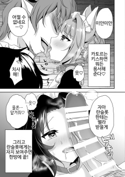 (C92) [Aoirokanata (Shikitani Asuka)] Saimin de Sukina Musume to Pet na Seikatsu (Granblue Fantasy) [Korean] page 8