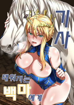 [F.W.ZHolic (FAN)] Hakuba ni Norareru Kishi (Fate/Grand Order) [Korean] [Digital] page 1
