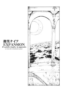 (C80) [PARANOIA CAT (Fujiwara Shunichi)] Touhou Ukiyo Emaki Bishou Knife EXPANSION (Touhou Project) [Spanish] [Biblioteca Hentai] page 2