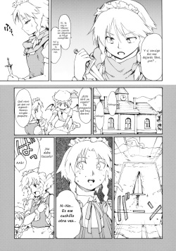 (C80) [PARANOIA CAT (Fujiwara Shunichi)] Touhou Ukiyo Emaki Bishou Knife EXPANSION (Touhou Project) [Spanish] [Biblioteca Hentai] page 6