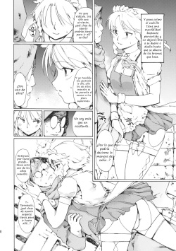 (C80) [PARANOIA CAT (Fujiwara Shunichi)] Touhou Ukiyo Emaki Bishou Knife EXPANSION (Touhou Project) [Spanish] [Biblioteca Hentai] page 9