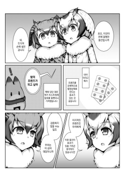 [Suizen no Mimi] Biyaku Friends | 미약 프렌즈 (Kemono Friends) [Korean] page 1