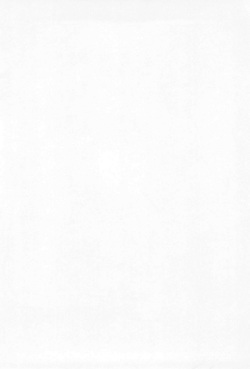 (SC21) [Chinasanchi (China)] Rokusai+3 page 2