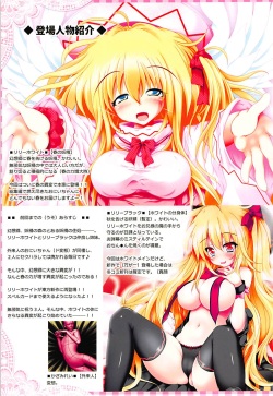 (C92) [Luft Forst (KAZAMI Rei)] SURPRIZE SPRING! (Touhou Project) page 2