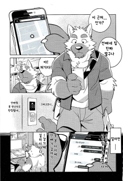 (Kemoket 7) [Wild Style (Takemoto Arashi)] HEAT UP [Korean] [늑댕이] page 4