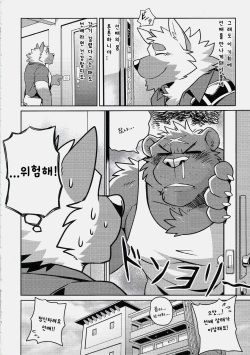 (Kemoket 7) [Wild Style (Takemoto Arashi)] HEAT UP [Korean] [늑댕이] page 5