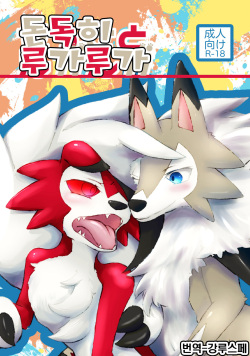 (Kemoket 7) [Gyokumi (Gyoko)] Sesseto Rugaruga | 돈독히 루가루가 (Pokémon) [Korean] [강루스페] page 1