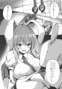 (C95) [Onyitei (tirotata)] Namaiki Usagi ni wa Oshioki o (Touhou Project) page 2