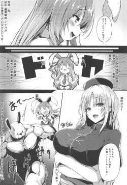 (C95) [Onyitei (tirotata)] Namaiki Usagi ni wa Oshioki o (Touhou Project) page 3