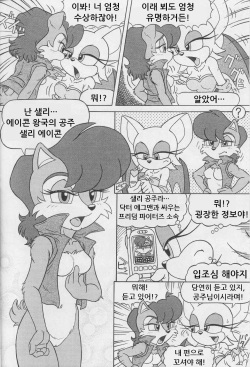 (CR34) [Furry Bomb Factory (Karate Akabon)] Furry BOMB #1 (Sonic the Hedgehog) [Korean] page 10