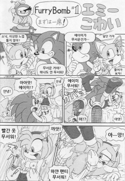 (CR34) [Furry Bomb Factory (Karate Akabon)] Furry BOMB #1 (Sonic the Hedgehog) [Korean] page 2
