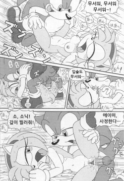 (CR34) [Furry Bomb Factory (Karate Akabon)] Furry BOMB #1 (Sonic the Hedgehog) [Korean] page 4