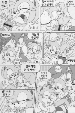 (CR34) [Furry Bomb Factory (Karate Akabon)] Furry BOMB #1 (Sonic the Hedgehog) [Korean] page 5
