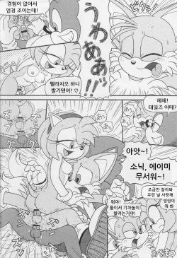 (CR34) [Furry Bomb Factory (Karate Akabon)] Furry BOMB #1 (Sonic the Hedgehog) [Korean] page 6