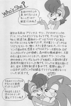 (CR34) [Furry Bomb Factory (Karate Akabon)] Furry BOMB #1 (Sonic the Hedgehog) [Korean] page 7
