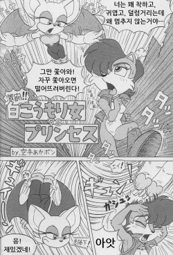 (CR34) [Furry Bomb Factory (Karate Akabon)] Furry BOMB #1 (Sonic the Hedgehog) [Korean] page 8