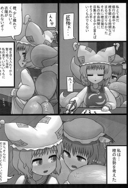 (Kouroumu 12) [Ninniku Batake (Ninniku)] Hogosha Sekimu (Touhou Project) page 4
