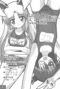 (Reitaisai 2) [Miko-Majyo-Meido (Various)] Love Is Here (Touhou Project) page 3