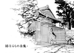 (C92) [Pochi-Goya. (Pochi.)] Ane Naru Mono Zenshuu 1 | Ane Naru Mono Complete Works 1 (Ane Naru Mono) [English] page 3