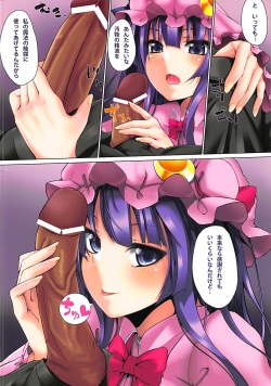 (C81) [satomachine. (Satou Samu)] 4FLUSHER. (Touhou Project) page 5