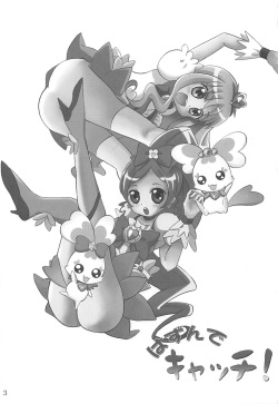 (C78) [Little★Cosmos (Ayano Rumi)] Hazunde Catch! (HeartCatch PreCure!) page 2