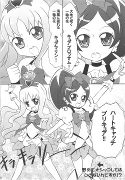 (C78) [Little★Cosmos (Ayano Rumi)] Hazunde Catch! (HeartCatch PreCure!) page 4