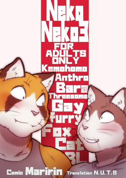 Neko x Neko 3