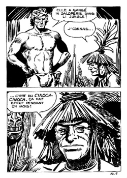 Elvifrance - Karzan - 14 [French] page 8