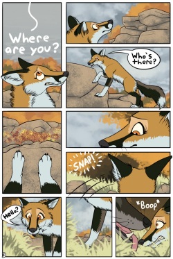 [TailsHigh] Who is Birch? (ongoing) page 3
