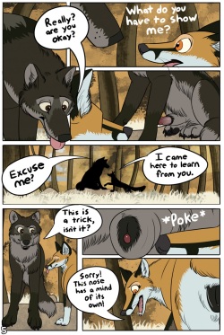 [TailsHigh] Who is Birch? (ongoing) page 5