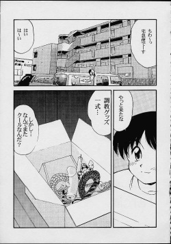 (C56) [M.R Products] Fancia Ikusei Nikki (Fancia) page 8
