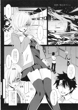 (C93) [Chill-Out (Fukami Naoyuki)] Kougyaku No Shielder Mash (Fate/Grand Order) page 3