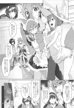 (C96) [Akikaze Asparagus (Aki)] Hatsujou Cat Fight (Fate/Grand Order) page 3
