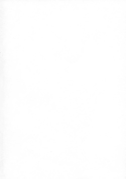 (C96) [Neoneet (Neoneet)] LADY REINES TIMES VOL. 1 (Lord El-Melloi II Sei no Jikenbo) page 4