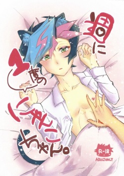 (Link☆Duelmaker3) [Gladiolus (Ametori)] Shūniichido no nyanko-chan. (Yu-Gi-Oh! VRAINS) page 1