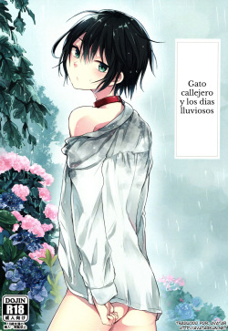 (COMITIA117) [Aoiro Ichiza (Aoiro Ichigou)] Nora Neko to Rainy Days [Spanish] [Avatar-kun] page 1