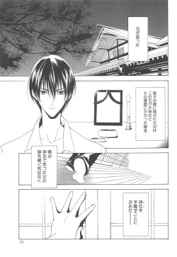 (C70) [Arts Graffiti (Shiino Yui)] MUGENSAIKA -Ichi- page 4