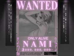 [Haru Youbi (Minami Makura)] Zoku Namida ga Kareru made... (One Piece) page 4