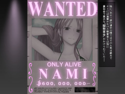 [Haru Youbi (Minami Makura)] Zoku Namida ga Kareru made... (One Piece) page 5