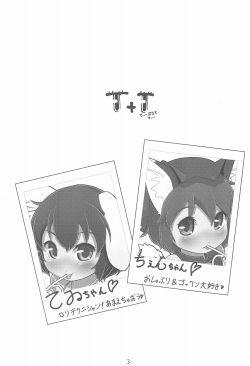 (Reitaisai 12) [Hadantorque (Torque)] T+T (Touhou Project) page 3