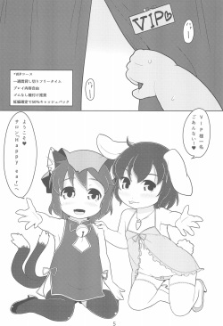 (Reitaisai 12) [Hadantorque (Torque)] T+T (Touhou Project) page 5