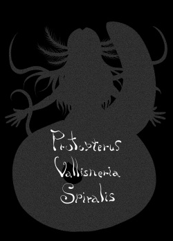 [Neotocite (Taguchi Kirei)] Protopterus Vallisneria Spiralis [Digital] page 6