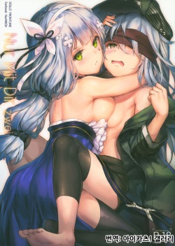 (C96) [Gintou Seika (Tamazatou)] Nur Mit Dir zwei (Girls' Frontline) [Korean] [아이카츠! 갤러리] page 1