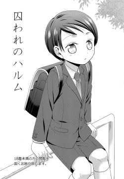 (COMITIA121) [Retroboy (Ono Akira)] Toraware no Harumu page 2