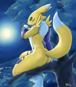 Renamon Time