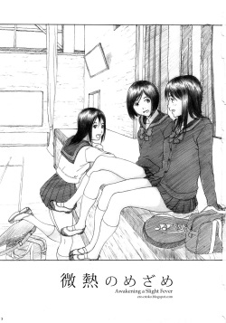 (C73) [YAKIYAMA LINE (Kahlua Suzuki)] Binetsu no Mezame | Awakening a Slight Fever [French] [R3tr0] page 2