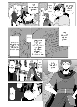(C88) [Ortensia (Shinobe)] Kemono no Boukensha | 케모노 모험가 [Korean] [TeamHT] page 4