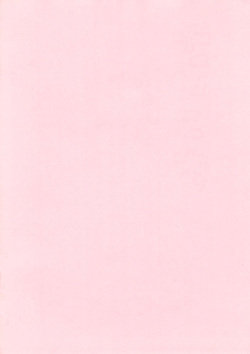 [Kirimochi Texture (Yoyoyoyou)] Saikoma [2007-02-25] page 2