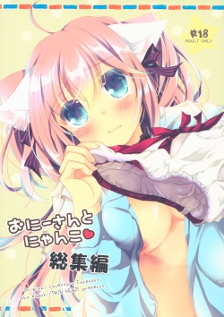 (COMIC1☆13) [TWIN HEART (Kaduki Ryo)] Onii-san to Nyanko Soushuuhen page 1